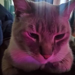 Meet your Posher, Brannen